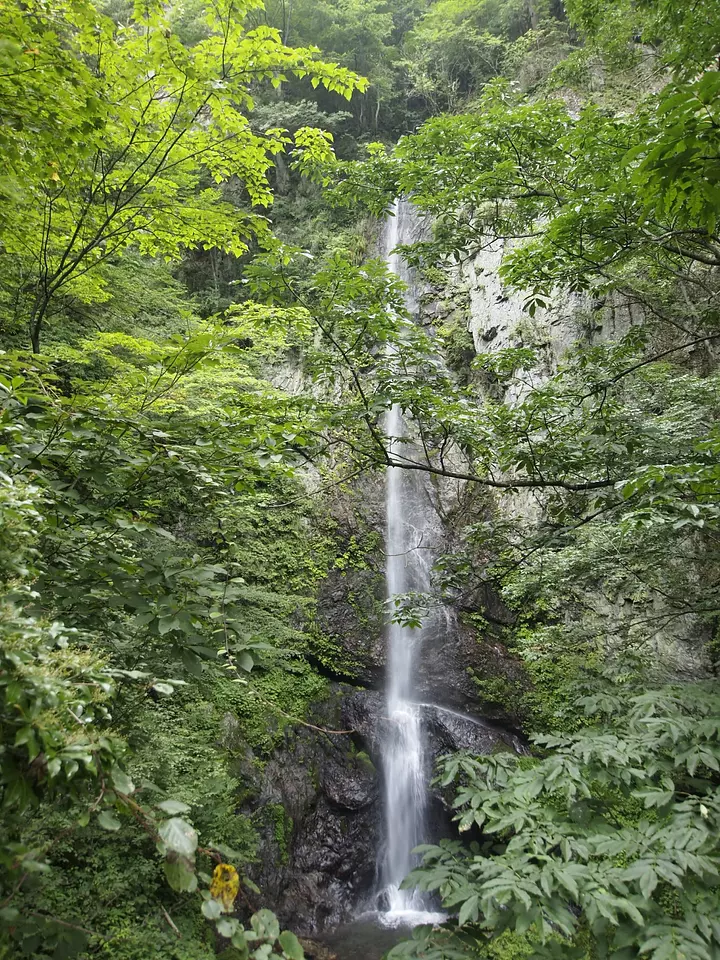 中止の滝（上野村）