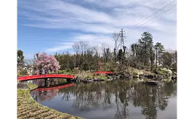浜川運動公園