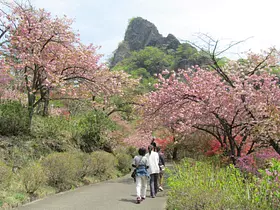妙義山さくらの里