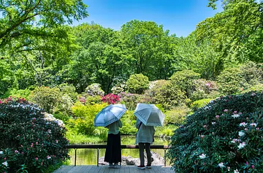 赤城自然園